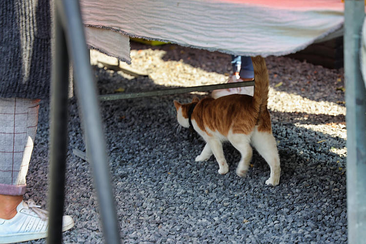 8 mei 2019 - TuinFair t.b.v. Compassion_42